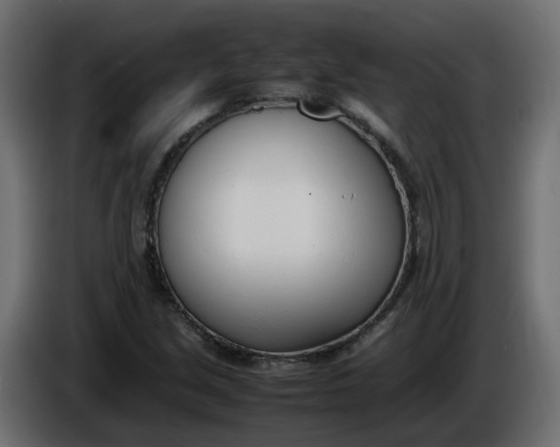 X0000086331213200704131710