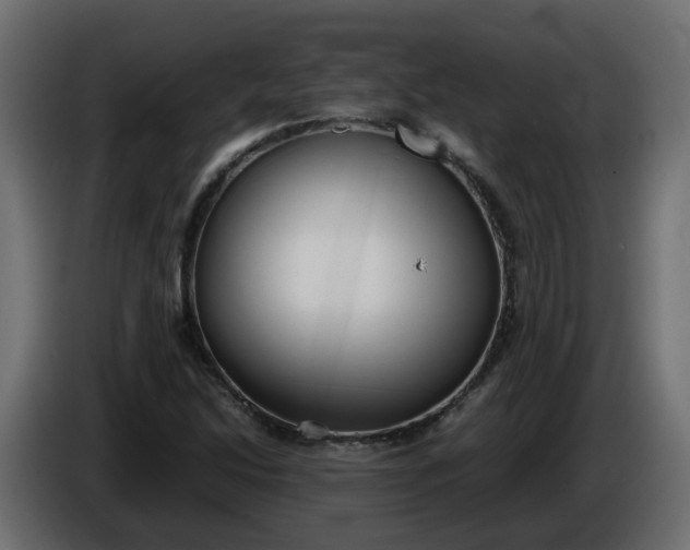 X0000086331214200704131710