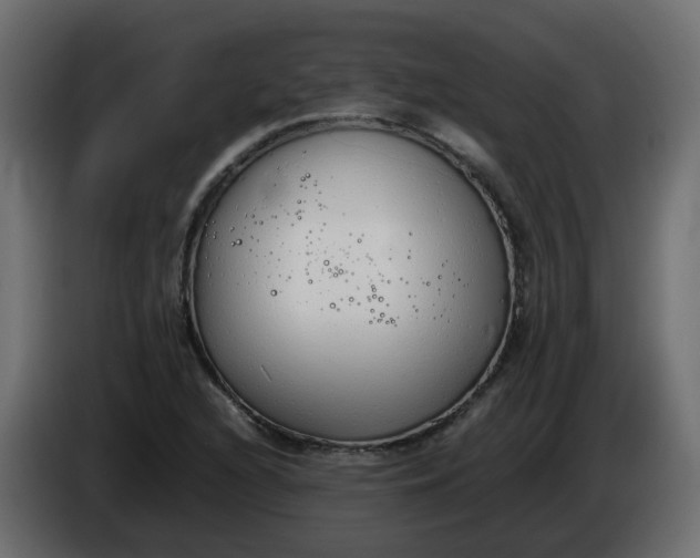 X0000086331216200704131710