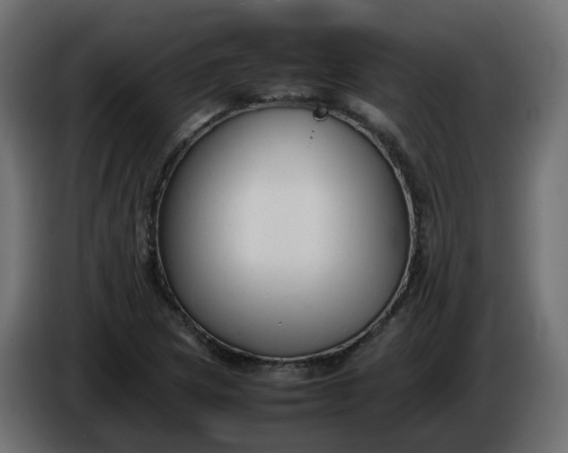 X0000086331217200704131710