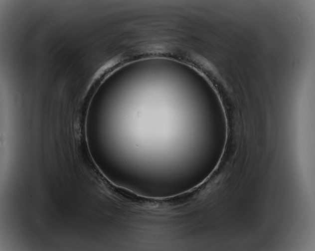 X0000086331218200704131710