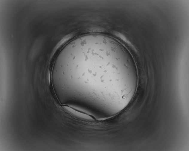 X0000086331221200704131710