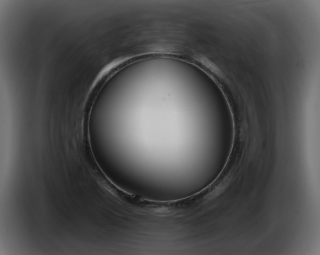 X0000086331222200704131710