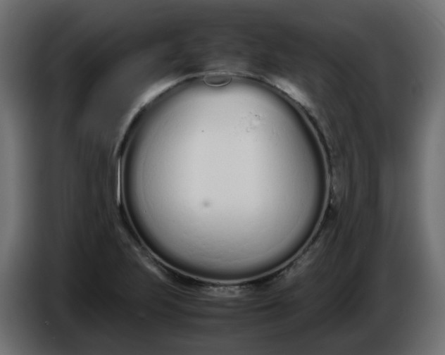 X0000086331223200704131710