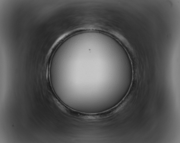 X0000086331224200704131710