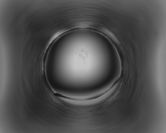 X0000086331226200704131711