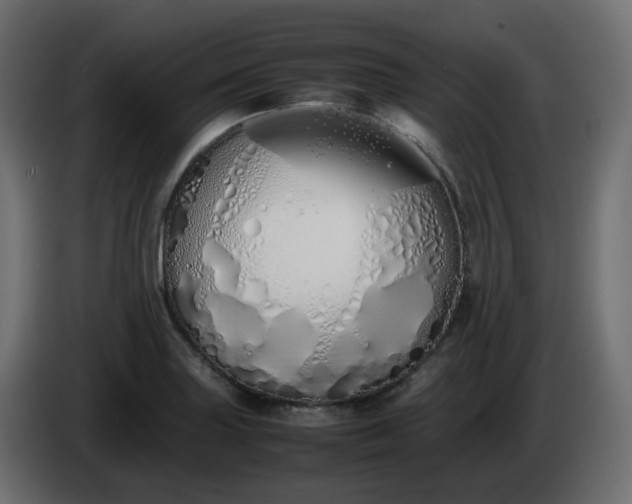 X0000086331227200704131711