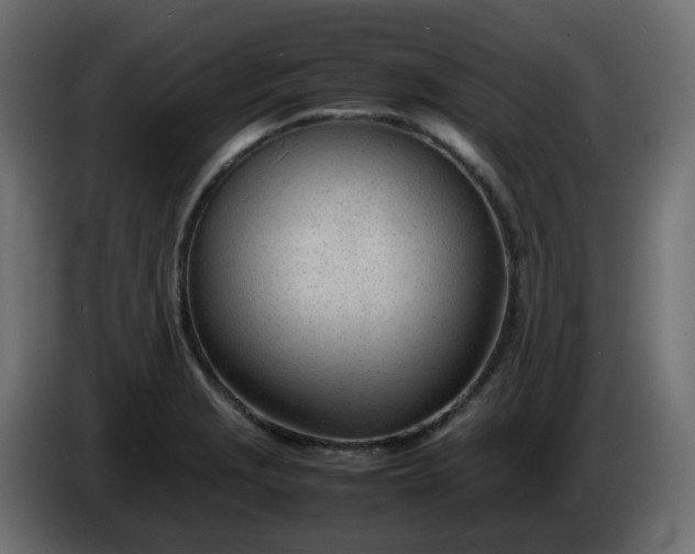 X0000086331229200704131711