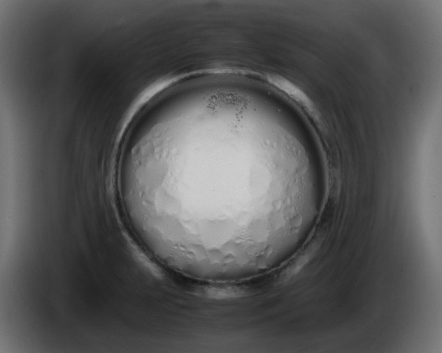 X0000086331231200704131711