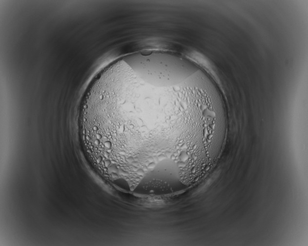 X0000086331235200704131711