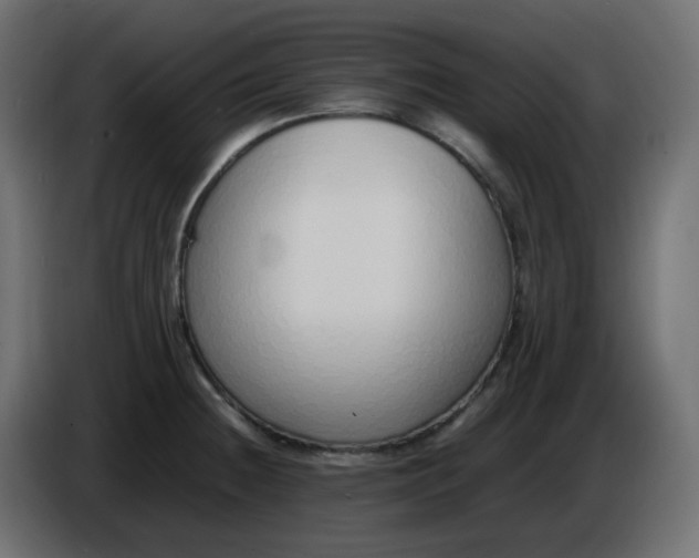 X0000086331236200704131711