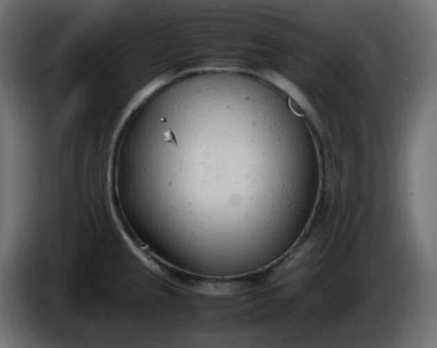 X0000086331237200704131711