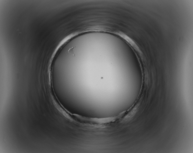 X0000086331238200704131711