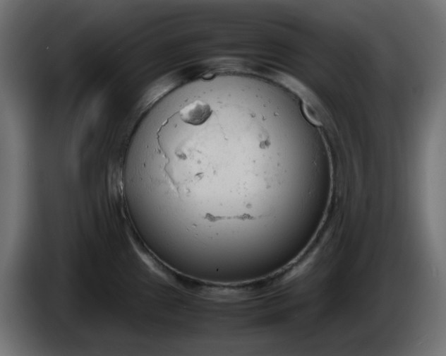 X0000086331241200704131711