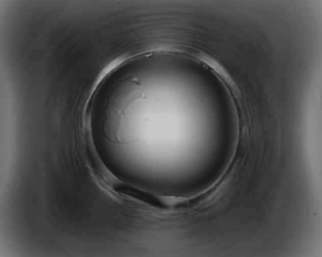 X0000086331242200704131711