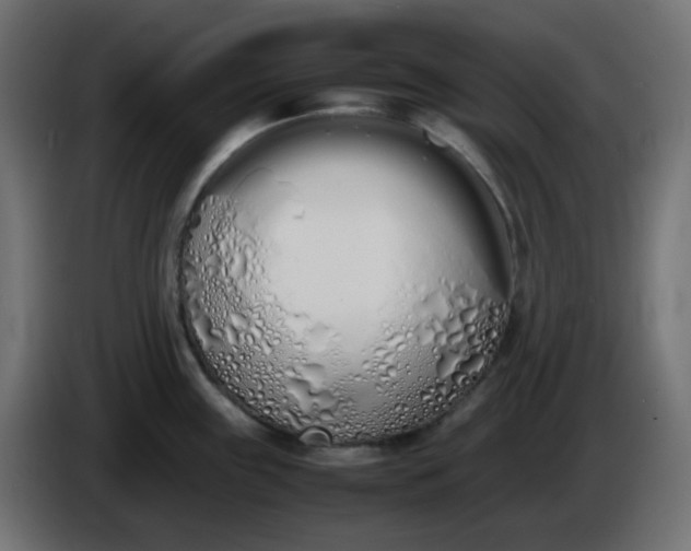 X0000086331243200704131711