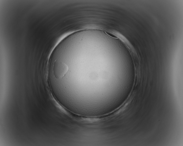 X0000086331244200704131711