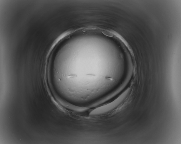 X0000086331245200704131711