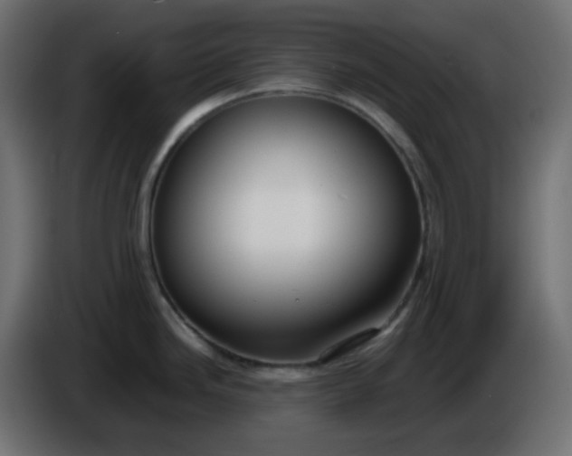 X0000086331246200704131711