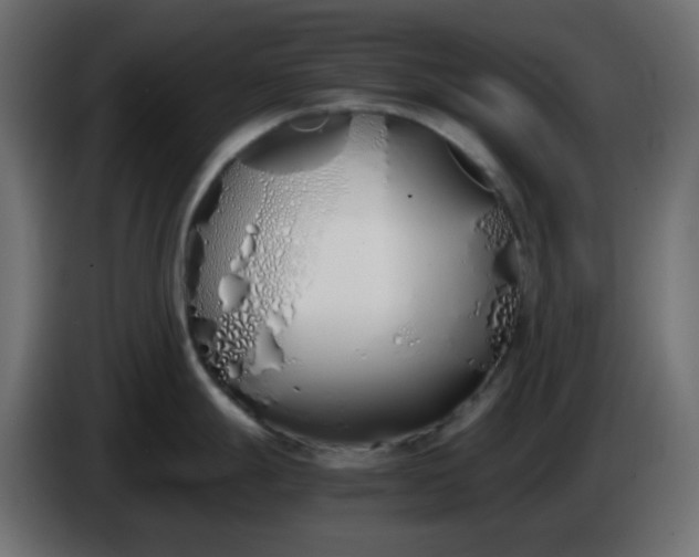 X0000086331247200704131711