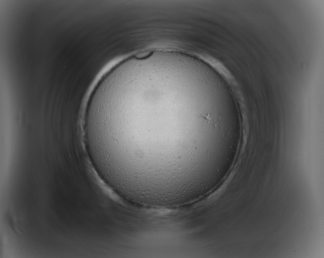 X0000086331248200704131711