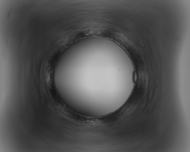 X0000086331250200704131710