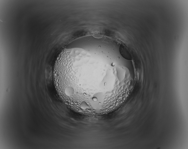 X0000086331251200704131710