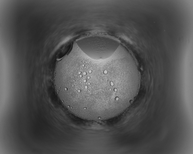 X0000086331255200704131710