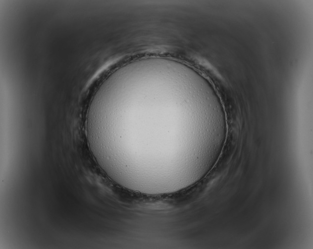 X0000086331256200704131710