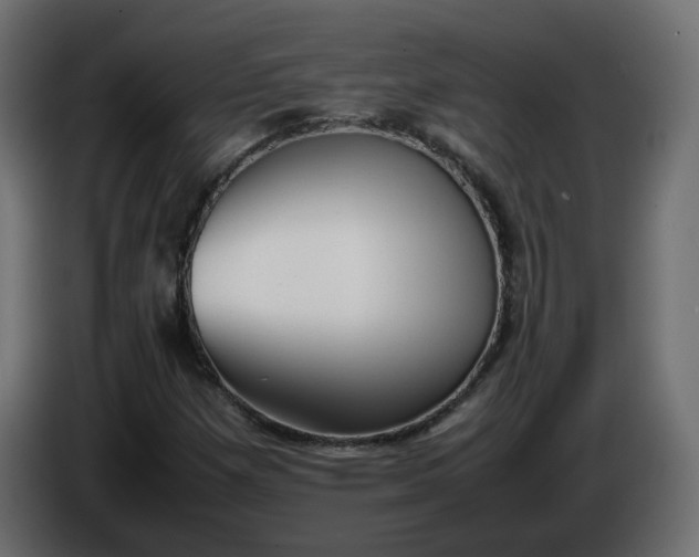 X0000086331257200704131710