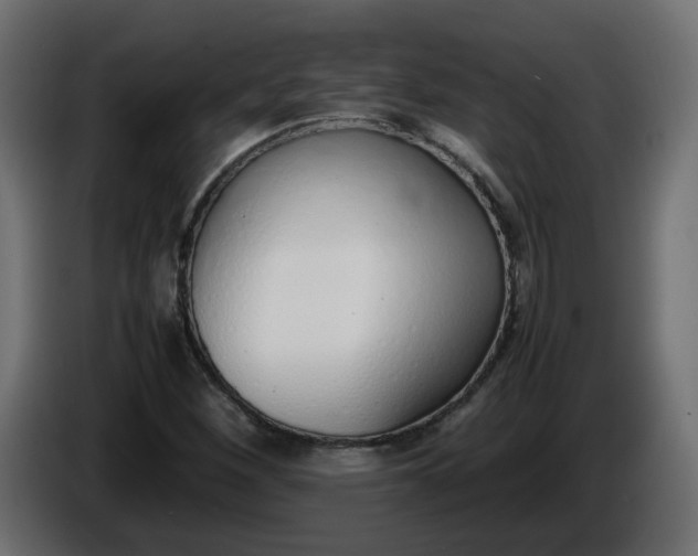 X0000086331260200704131710