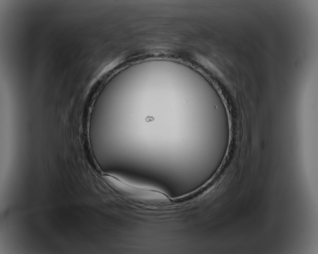 X0000086331261200704131710