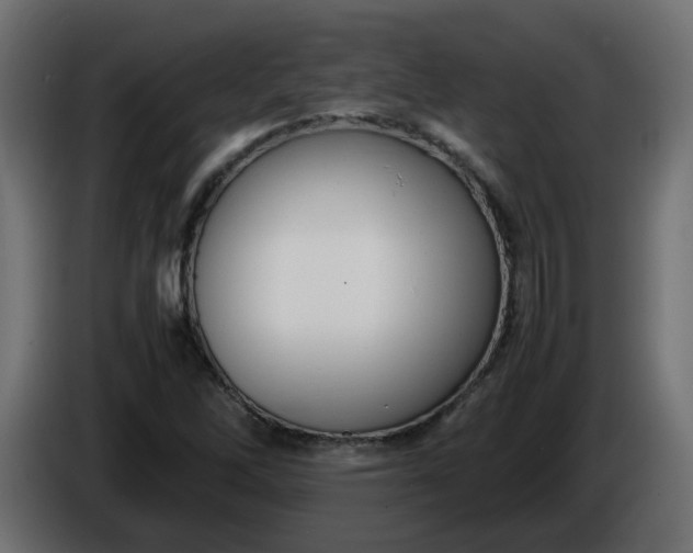 X0000086331262200704131710