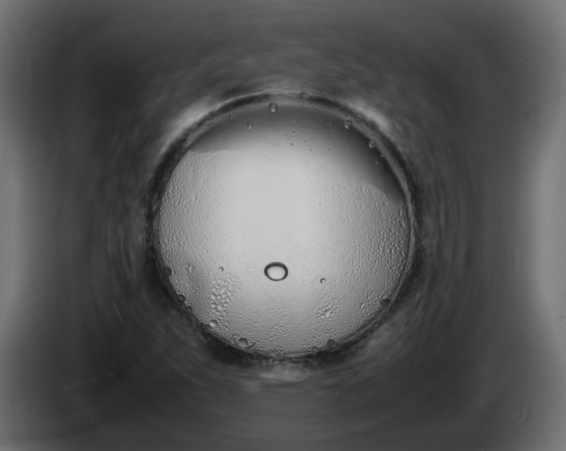 X0000086331263200704131710