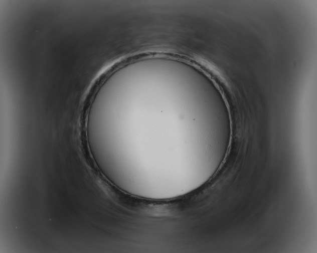 X0000086331264200704131710