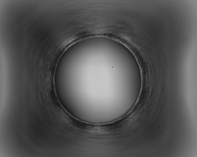 X0000086331265200704131710