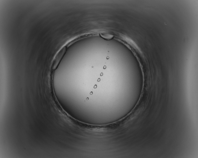 X0000086331268200704131710