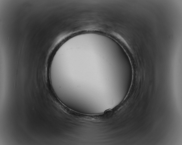 X0000086331270200704131710