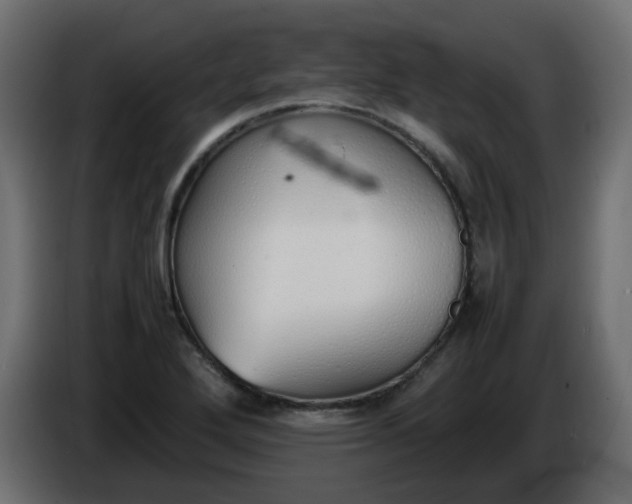 X0000086331272200704131710