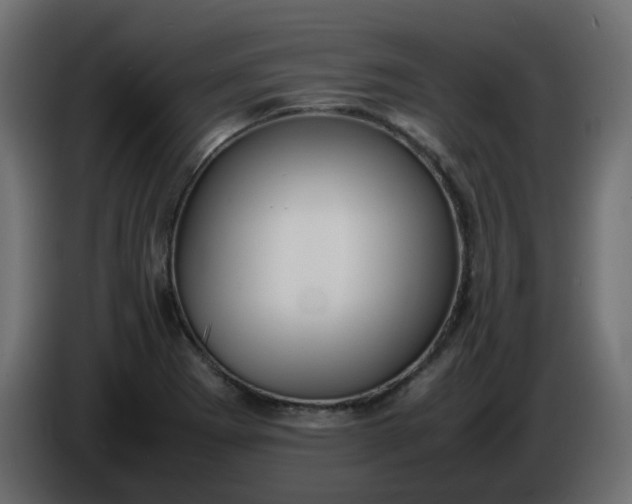 X0000086331273200704131710