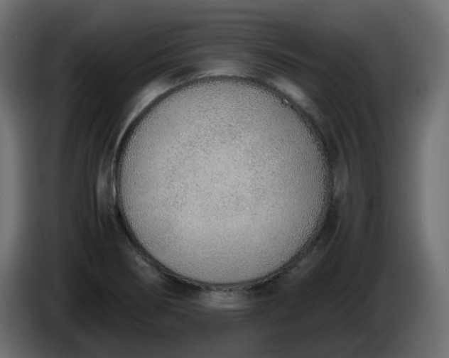 X0000086331274200704131710