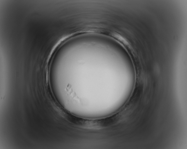 X0000086331275200704131710