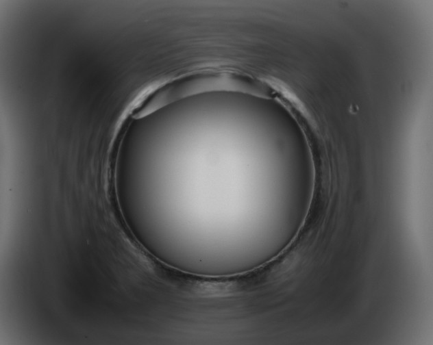 X0000086331277200704131710