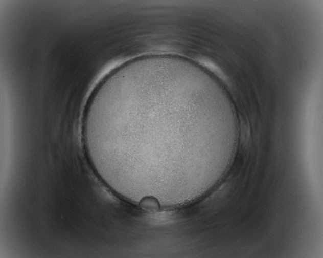 X0000086331278200704131710