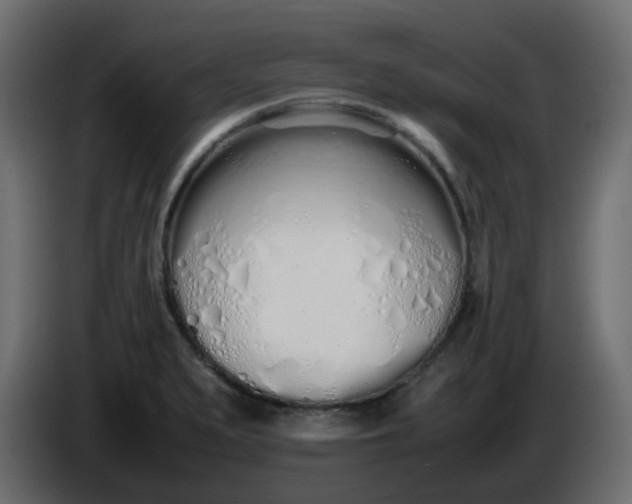 X0000086331279200704131709