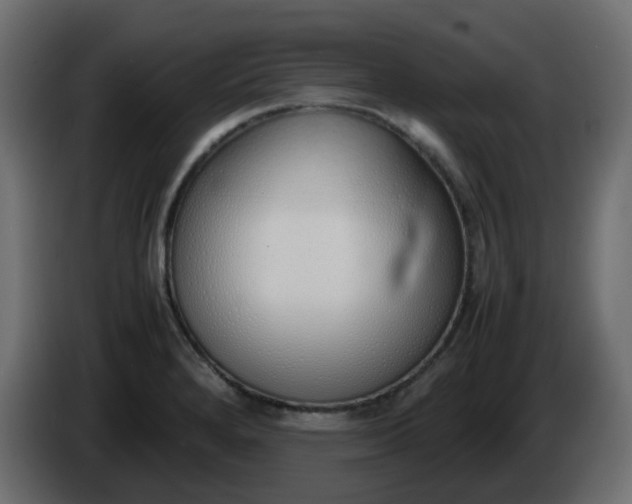 X0000086331280200704131709