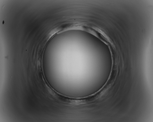 X0000086331281200704131709