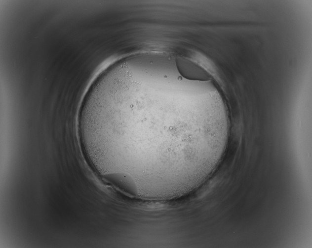 X0000086331283200704131709