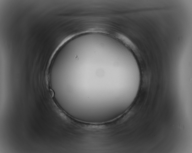 X0000086331284200704131709