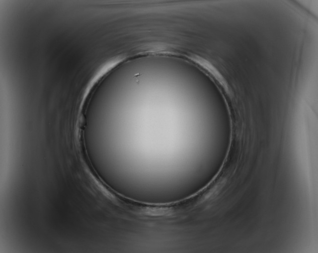 X0000086331285200704131709